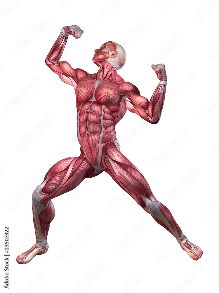 Bodybuilder Pose Bodybuilder Pose