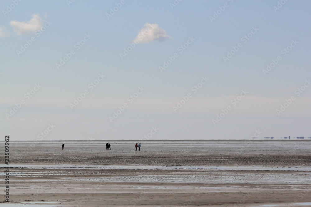 silhouettes on mudflat