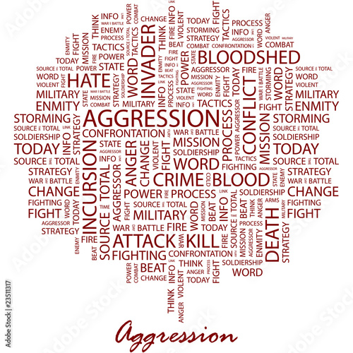 AGGRESSION. Word cloud concept illustration.