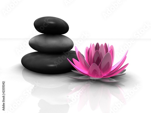 Wellness - Steine und Lotusblüte