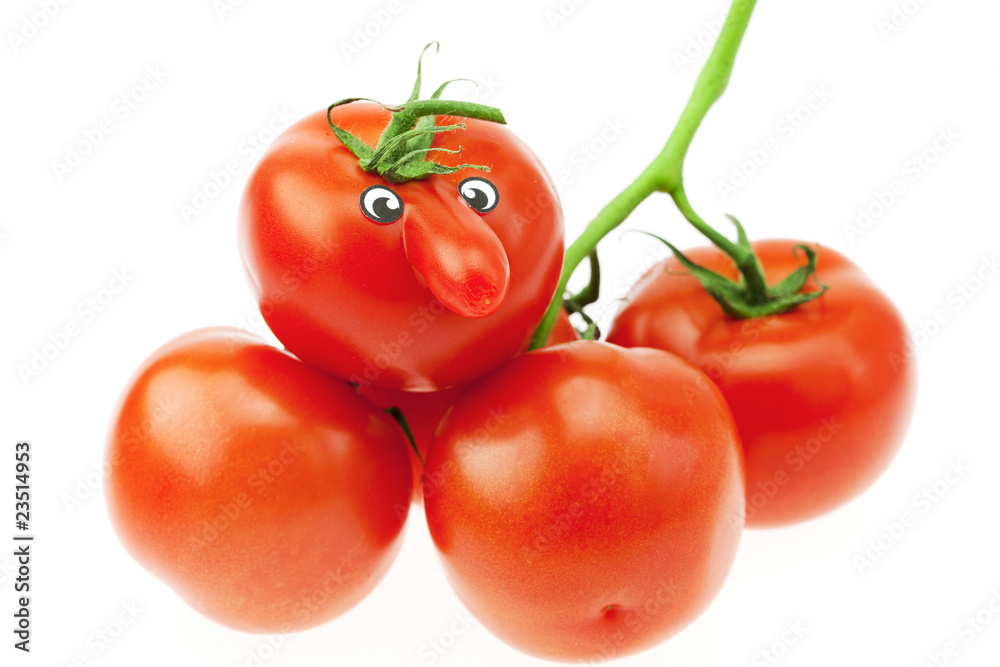 bunch of tomatoes isolated on white bunch of tomatoes isolated on white