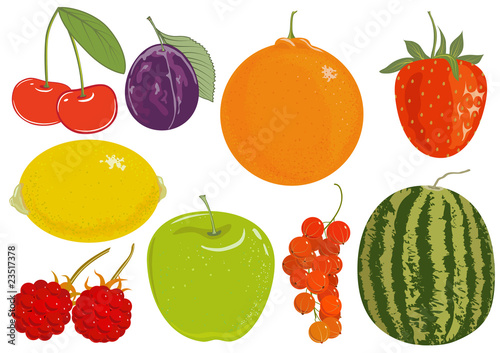 Set of fruits, vector