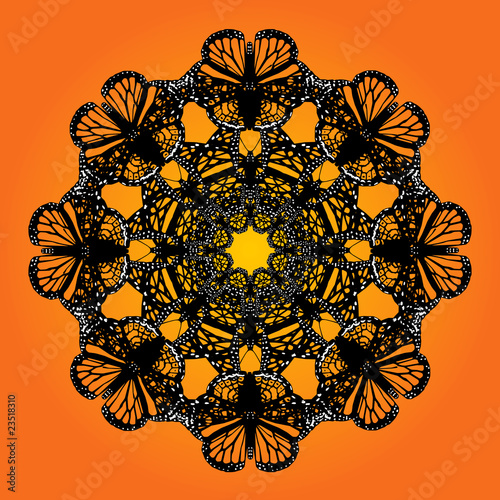 kaleidoscope butterfly background