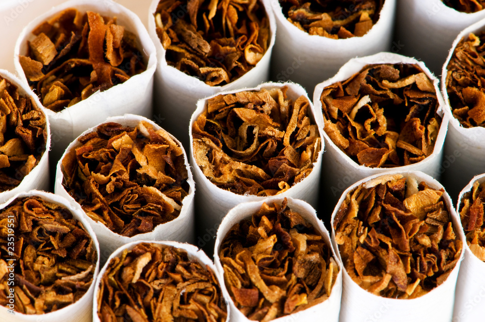 Close up of smoking cigarettes as antismoking concept Close up of smoking cigarettes as antismoking concept