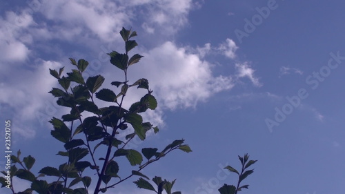 clouds in the blue sky timelapse
