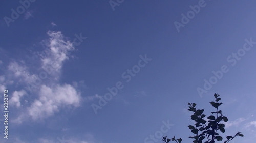 clouds in the blue sky timelapse