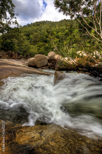 tropical river in the rain forest queensland australia