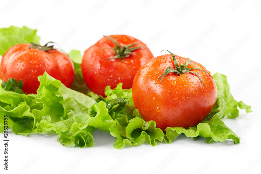 Tomatoes and lettuce on the white background Tomatoes and lettuce on the white background