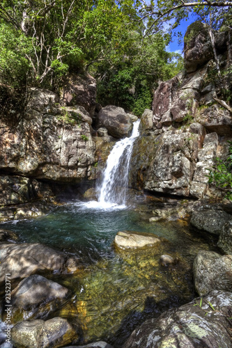 tropical river in the rain forest queensland australia