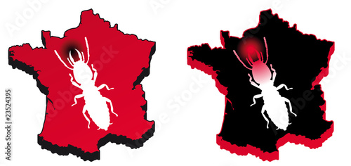 ravage des termites en France