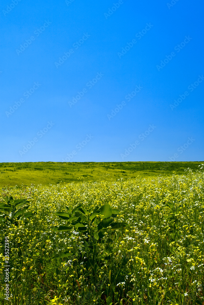 Green hills under the blue summer skies