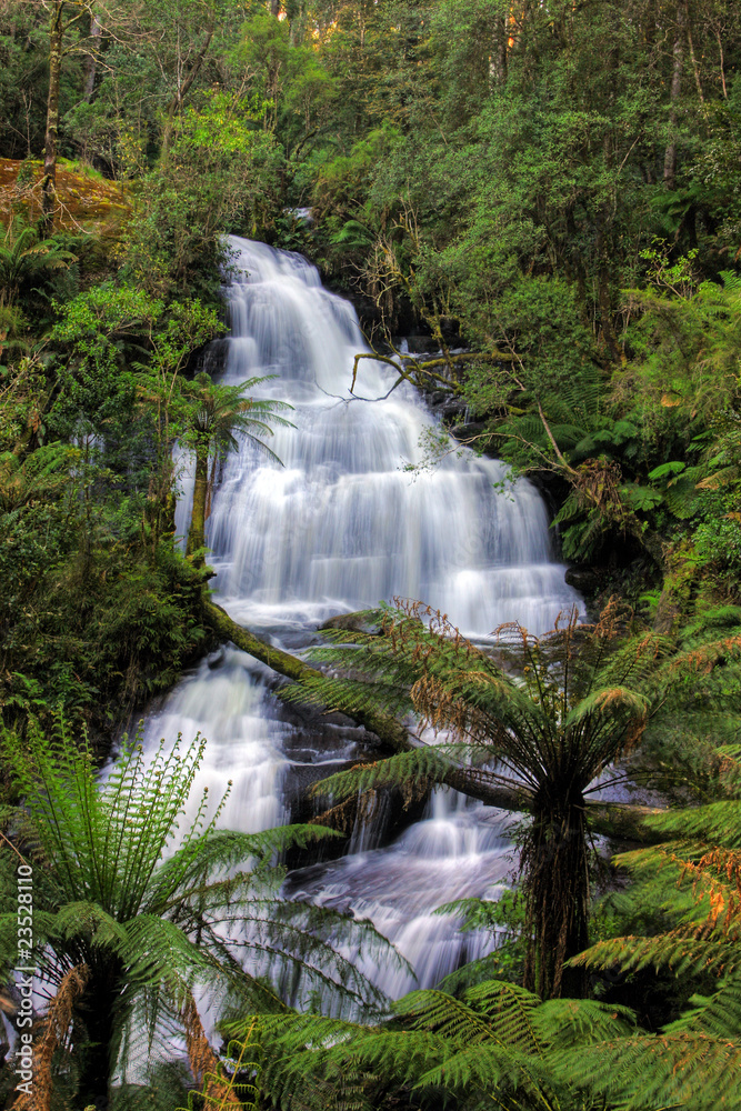 Fototapeta premium green waterfall