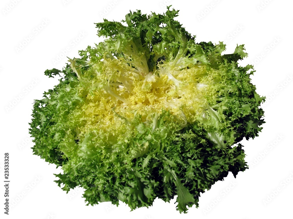 Salade chicorée frisée Stock Photo Adobe Stock — free download