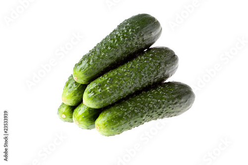 small circle fresh cucumber