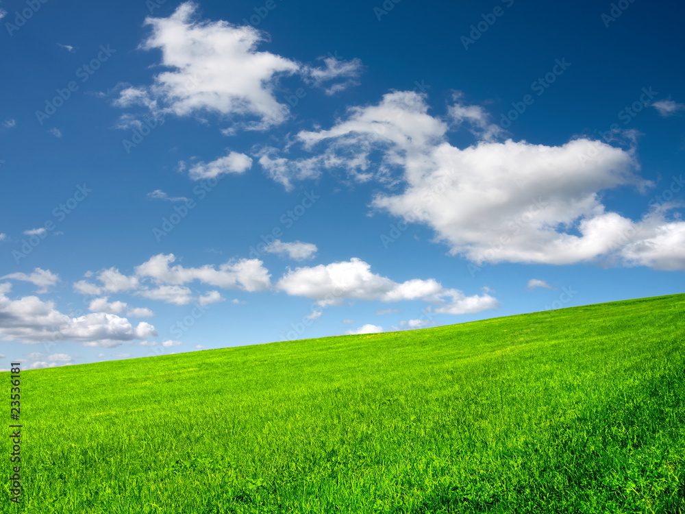 Green field Green field