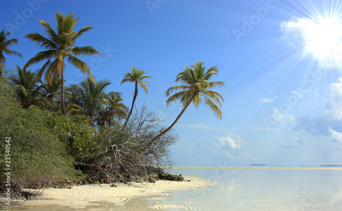 au soleil d'une île des maldives © joël BEHR