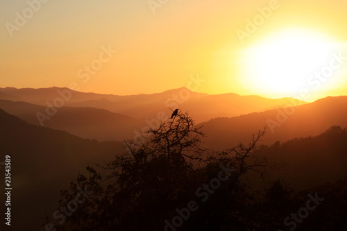 Mountain sunset crow silhouette