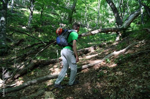 Hiker in mountains