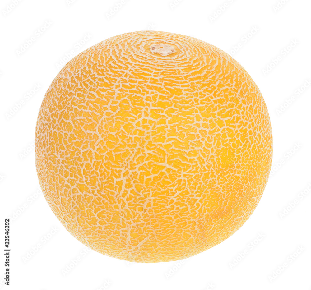 Melon isolated on white background Melon isolated on white background