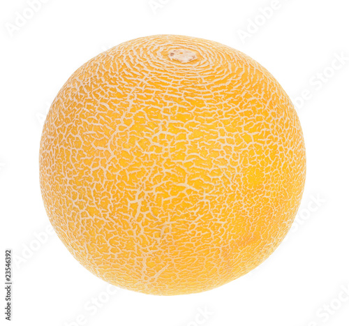 Melon isolated on white background