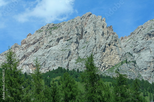 View of Dolomite's peak in Corvara behind a green pine-wood