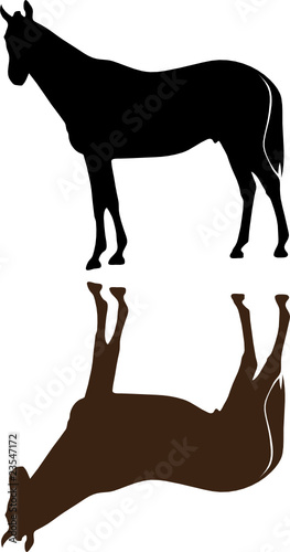 horses vector silhouettes