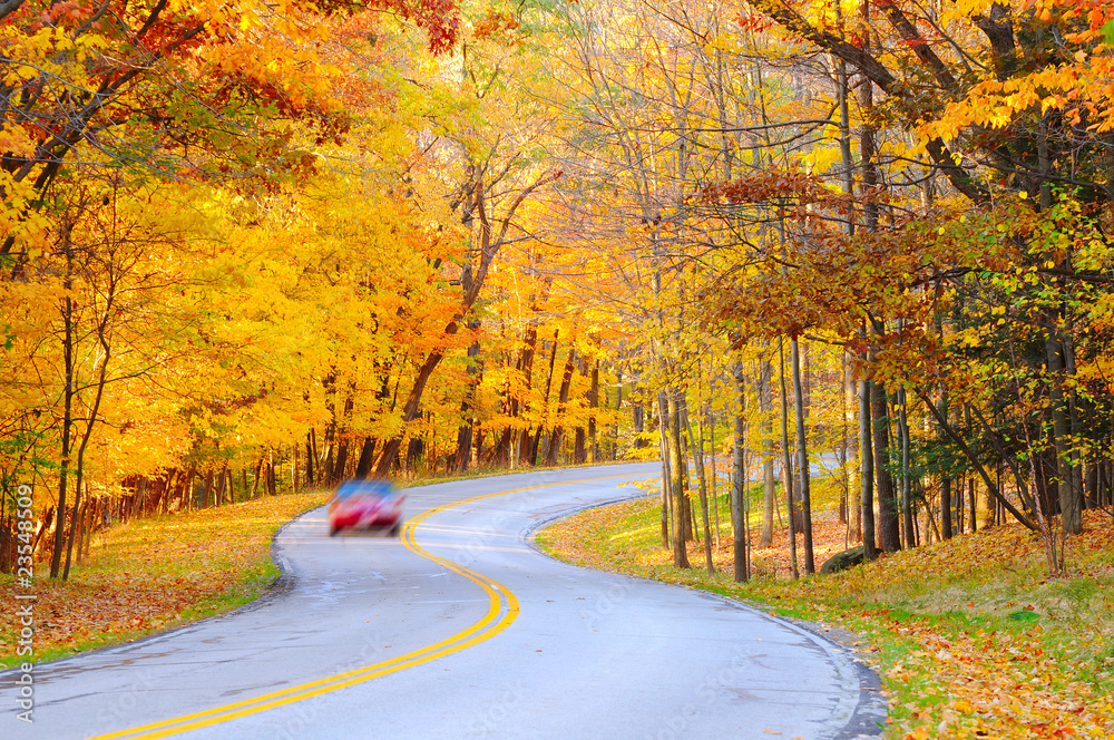 Autumn curve with car