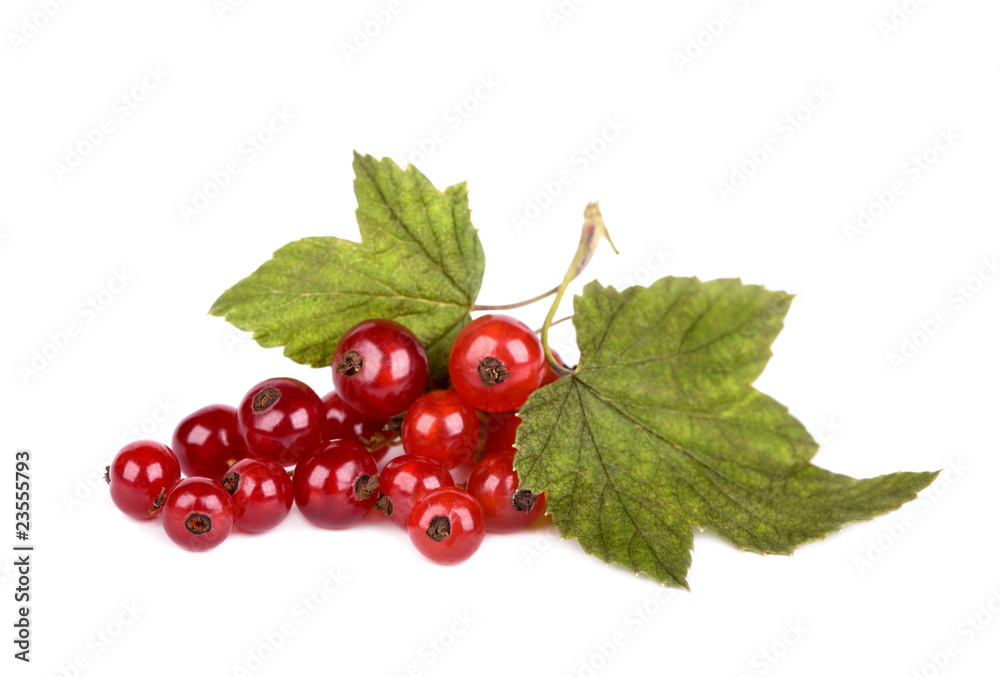 Red currant with green leaves isolated on white background Red currant with green leaves isolated on white background