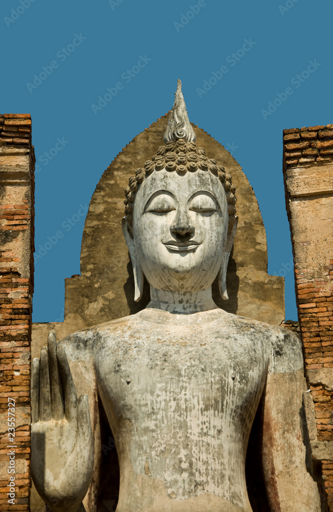 Fototapeta premium The buddha status