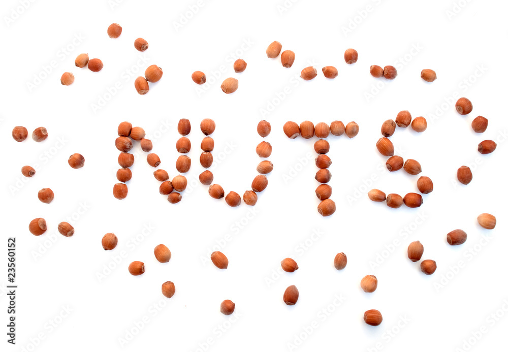 Wood nut Wood nut