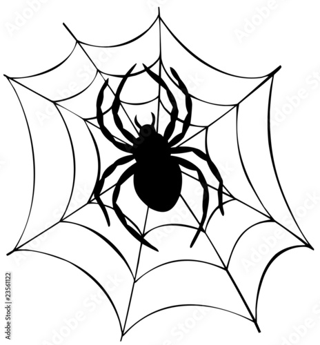 Silhouette of spider in web