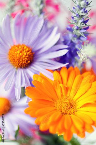 Fototapeta Naklejka Na Ścianę i Meble -  spring flowers