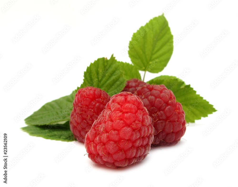 Raspberry with green leaves Raspberry with green leaves