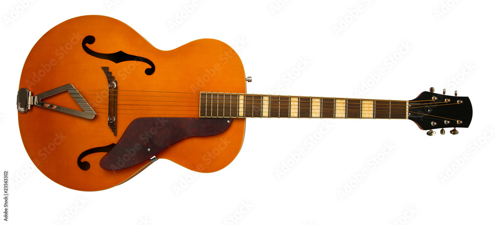Obraz premium electric guitar