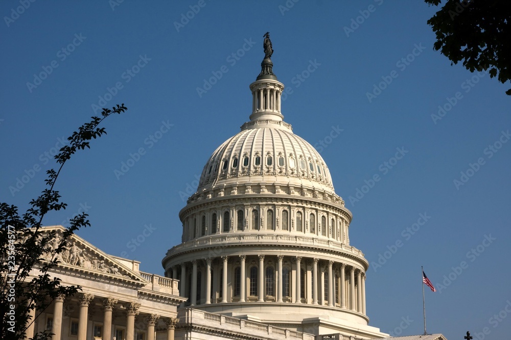 Naklejka premium washington