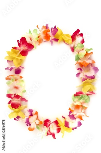 Konstfotografi Hawaiian lei