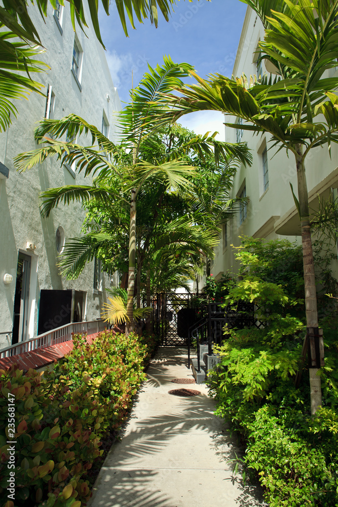 Fototapeta premium Miami Beach Alley