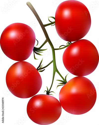 Tomatoes.