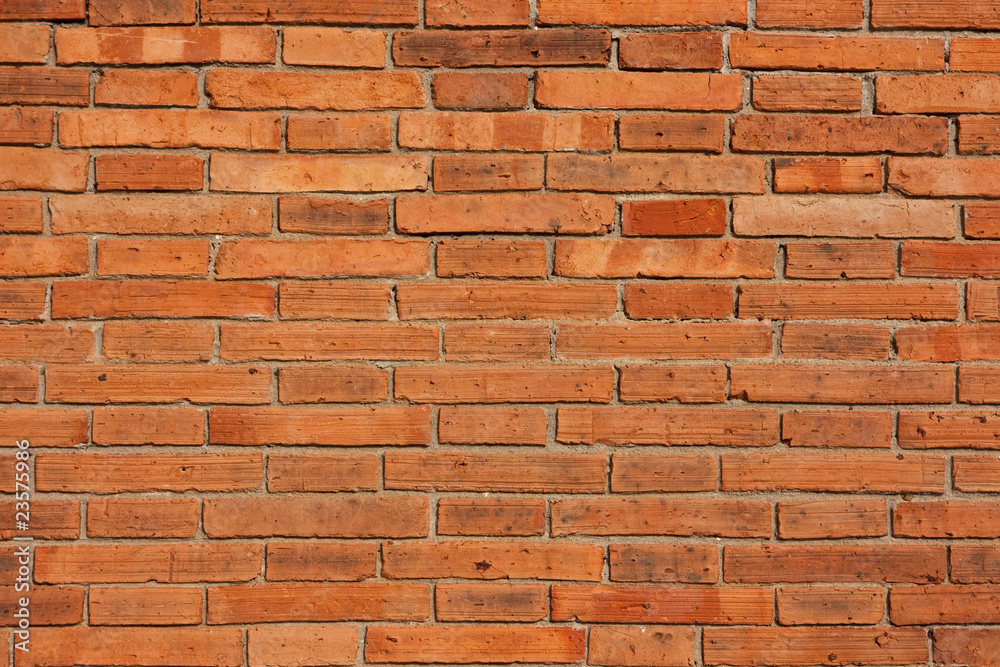 Obraz premium Texture