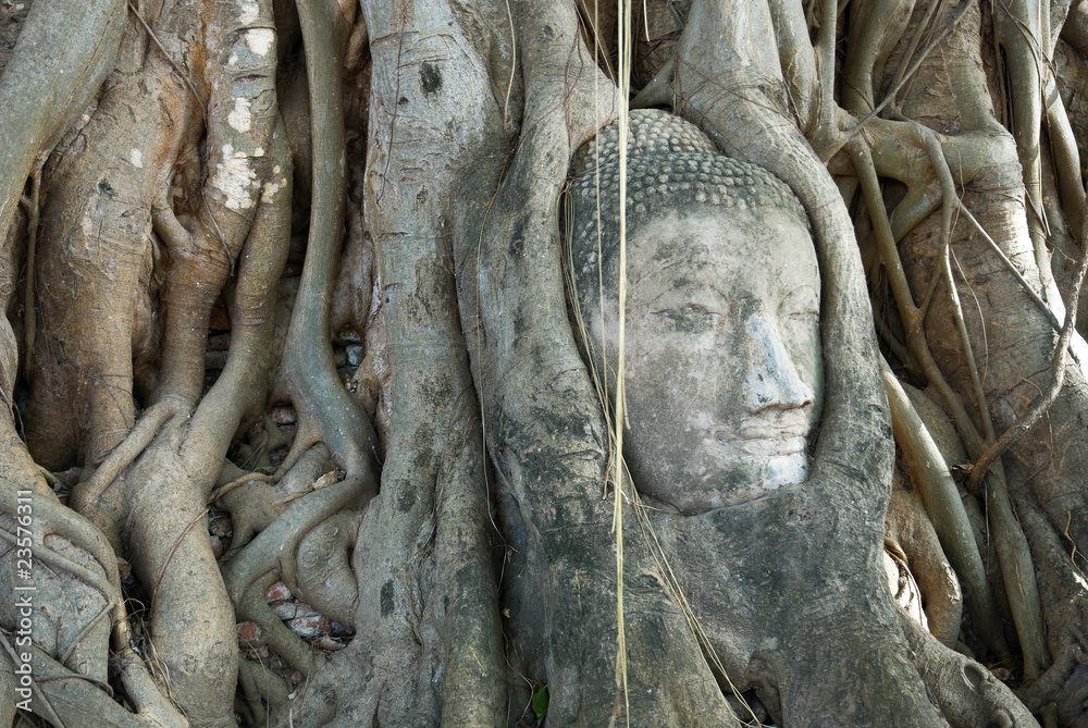 head of buddha image head of buddha image