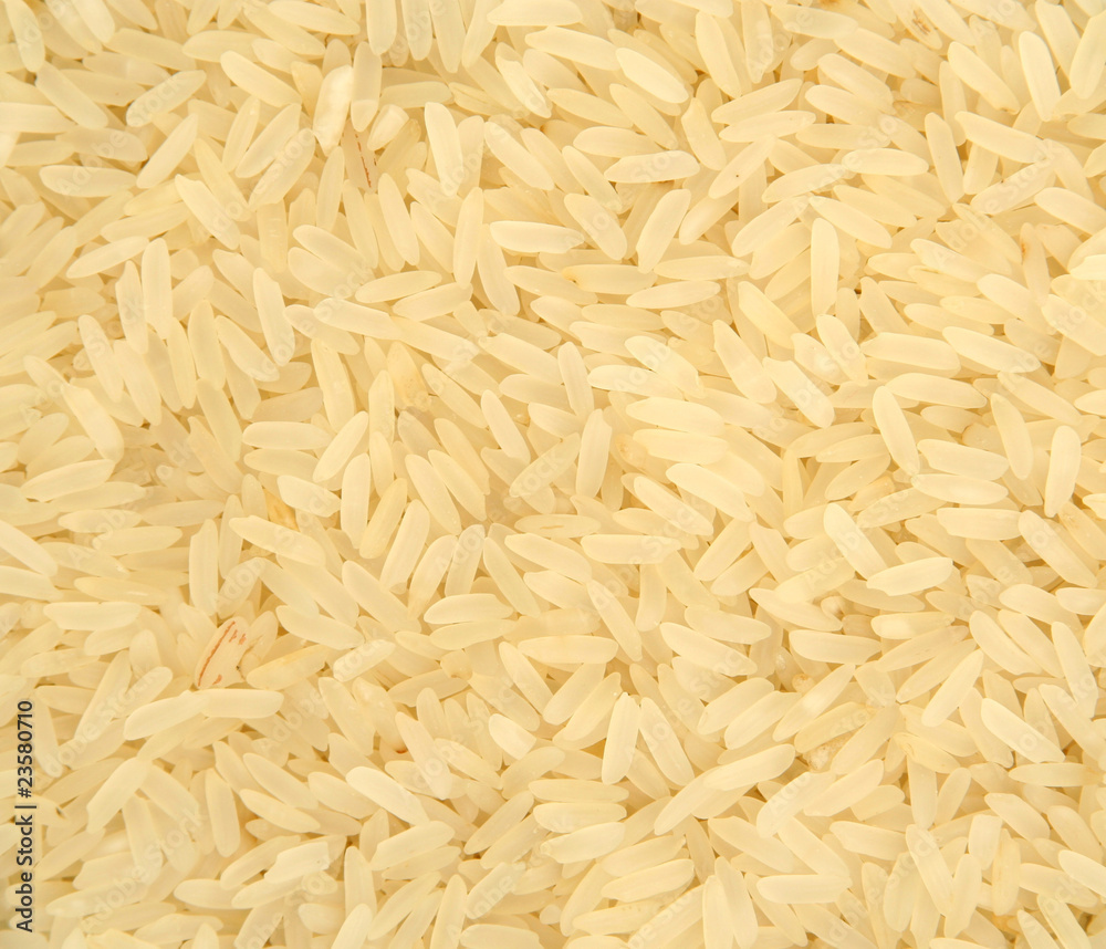 white rice white rice