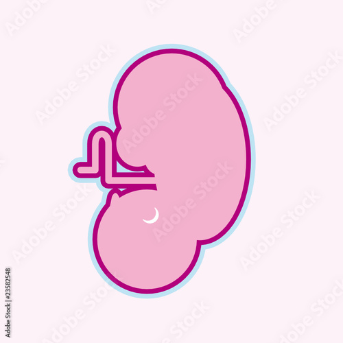 embryo