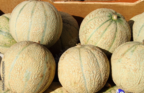 Fresh melons displayed in a market stall