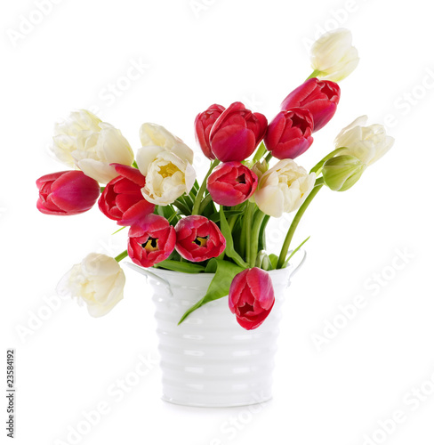 Fototapeta Naklejka Na Ścianę i Meble -  Red and white tulips