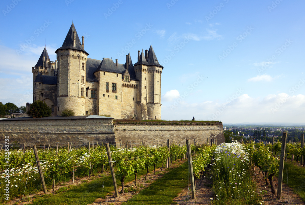 Schloss von Saumur, weinstöcke im Vordergrund