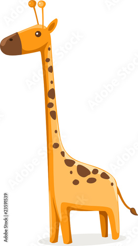 giraffe