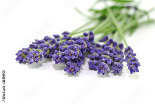 Lavendelaroma