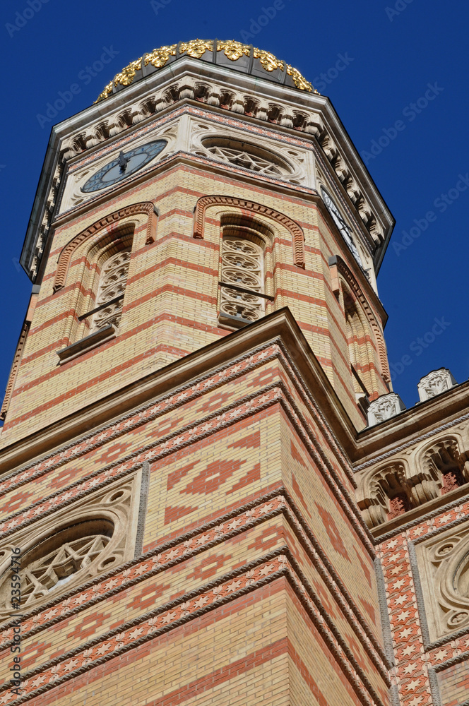 Obraz premium Synagogue de Budapest