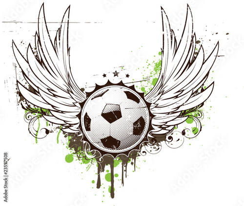football insignia