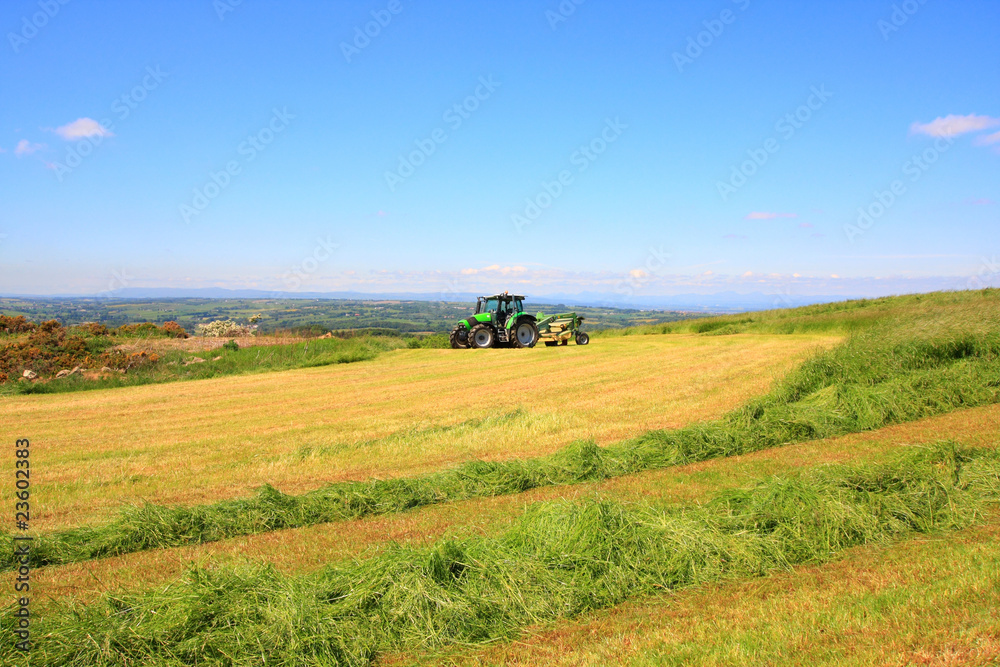 Haymaking in Sotland